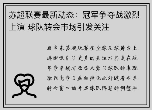 苏超联赛最新动态：冠军争夺战激烈上演 球队转会市场引发关注