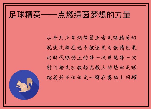 足球精英——点燃绿茵梦想的力量